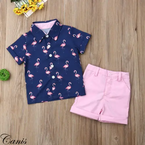 

2019 Fashion Kids Baby Boys Flamingos T-shirt Tops Pants Outfits Set Casual Clothes