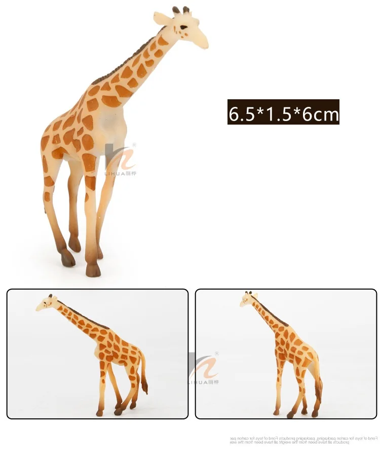 8733854359_1928765868