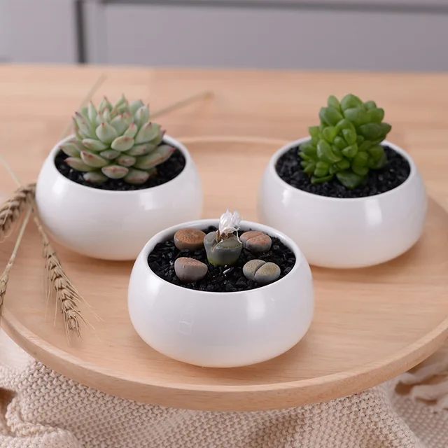 1 Set Modern Minimalist White Ceramic Flowerpot Succulent Plant Pot 3 Bonsai Planters with 3-Tier Bamboo Shelf Home Garden Decor
