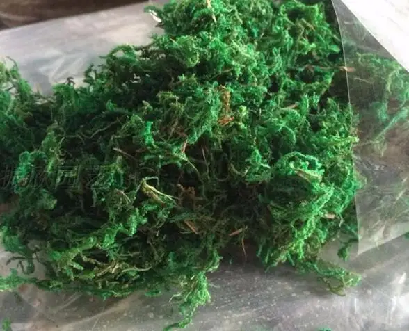 100g Натуральный 50 г-100 г мешок сухой настоящий зеленый мох декоративные растения ваза искусственный дерн Шелковый цветок аксессуары для украшения цветочного горшка - Цвет: 100g