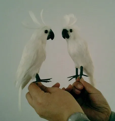

about 30cm white parrot model toy,polyethylene resin handicraft,home decoration a1754