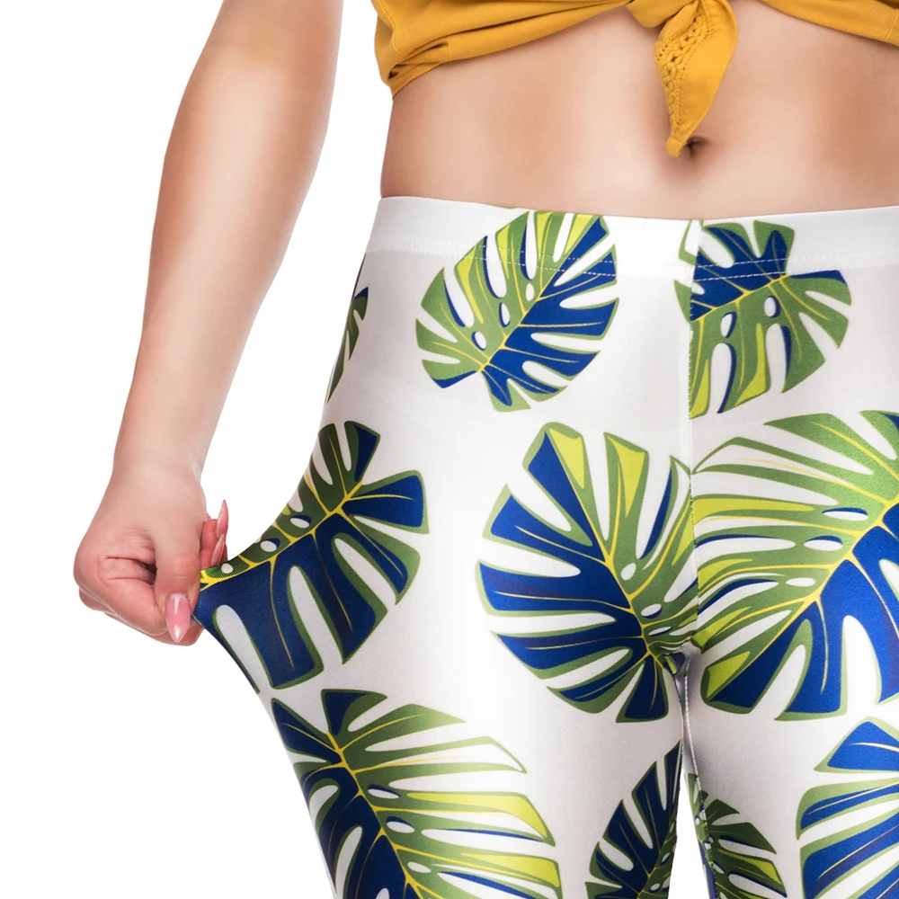 51854 MONSTERA LEAVES (8)