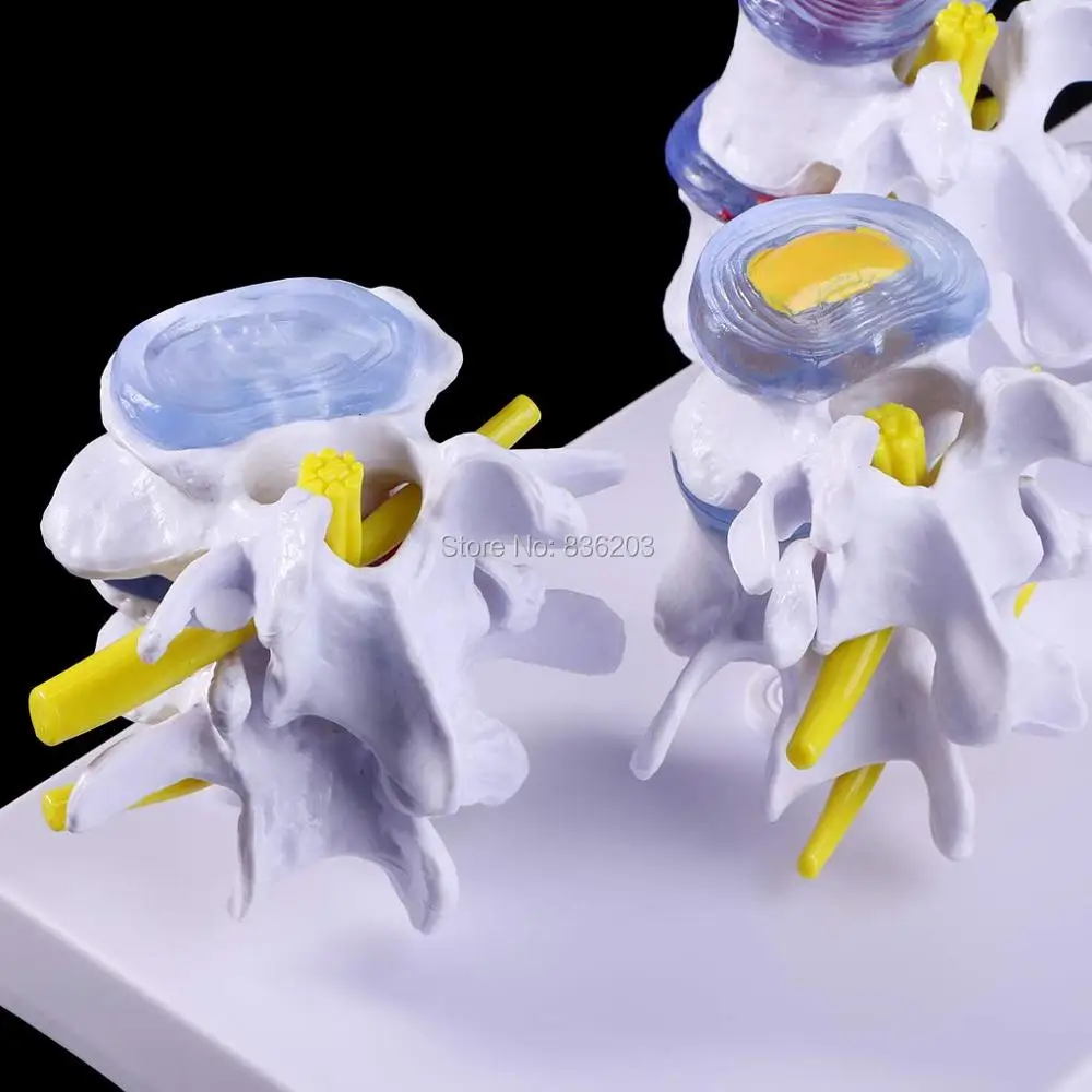 61NnxnNvd2L._SL1024_