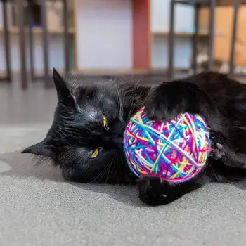 

Pet Cat Rolling Ball Toys Multi Color Yarn Balls with Rattle Cat Toys