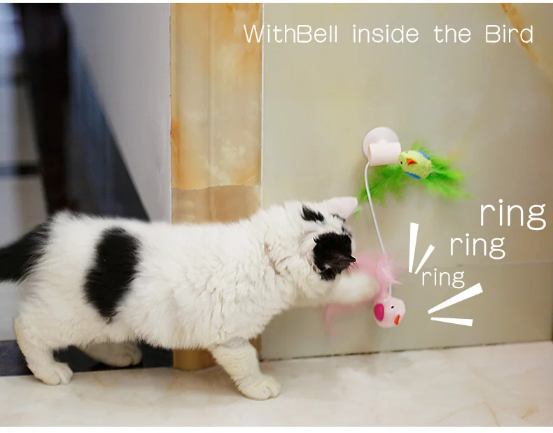 PC60019-吸盘猫玩具英文详情_05