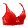 Sexy Sujetador de encaje Bralette mujeres aros Sujetador Push Up de talla grande sujetador sexi para mujer ropa interior sujetador Bh Soutien Gorge ► Foto 2/6