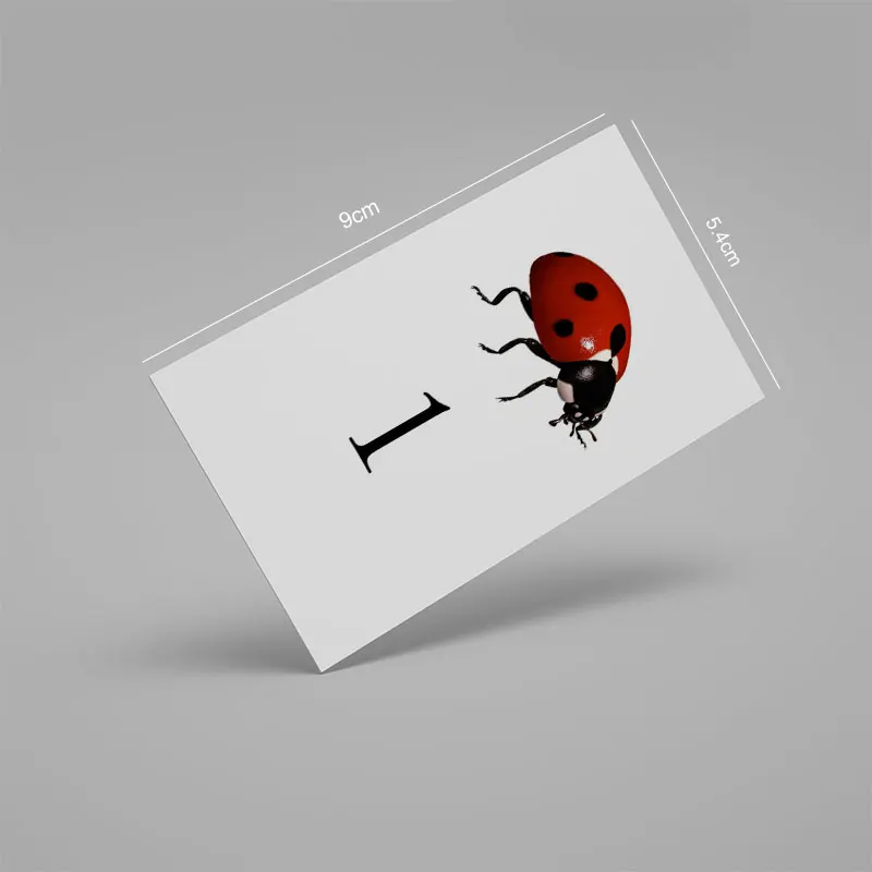 Montessori Materials Montessori Ladybug Unit Card Educational Early Learning Toys For Children Juguetes Brinquedos YH0244H