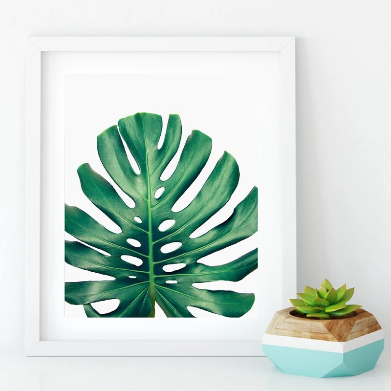 Banana Leaf Canvas Prints