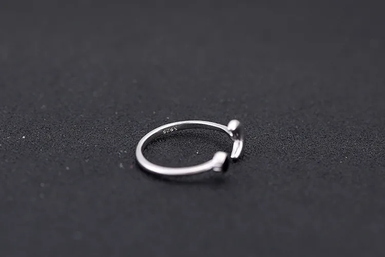 3684366243_823318017