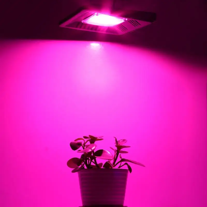 Светодиодный светать полный спектр 50 W IP67 монолитный блок Светодиодов Прожектор для растений в помещении Открытый гидропонная теплица