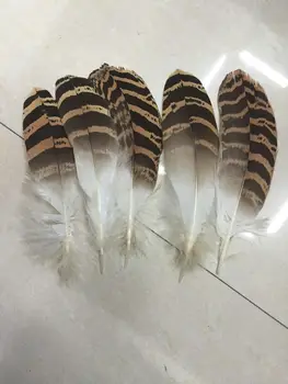 

Free shipping 10pcs/lot 15-20cm natural Eagle feathers for diy Jewelry decorations/ indian headdress