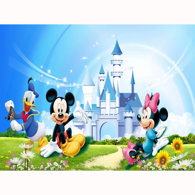 

Photography Backdrops theme castle photo background children party Custom banner Photo Studio Background Props