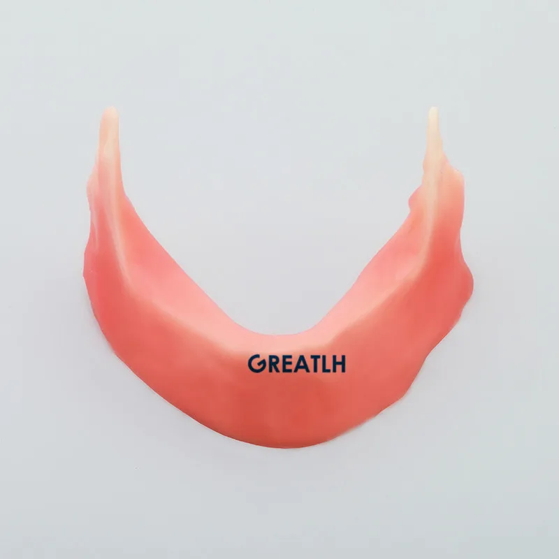 Modelo de Mandíbula Dental com Silicone para Prática de Incisão Mandibular Implante Sutura Dentista Prática Modelo M2027 3 Modelo de Ensino Dental