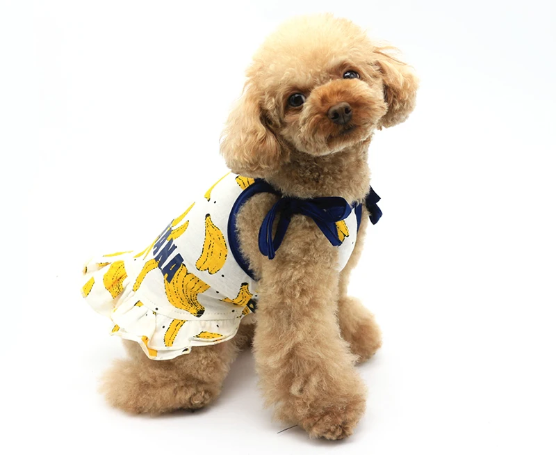 HTB1RrR2RXXXXXXTXFXXq6xXFXXXm