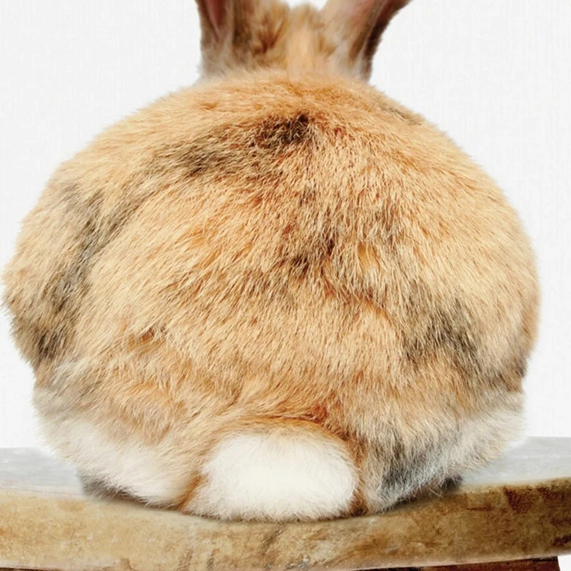 Sylvie-Bunny-Rabbit-Back-Animal-Print-Framed-Canvas-by-Amy-Peterson-N-A-24aa0ae5-5a5d-4ceb-94e0-6868e1886faa.webp