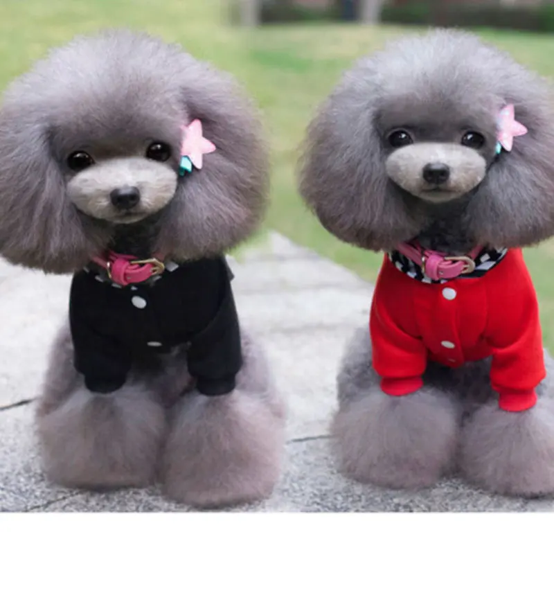 dog clothes french