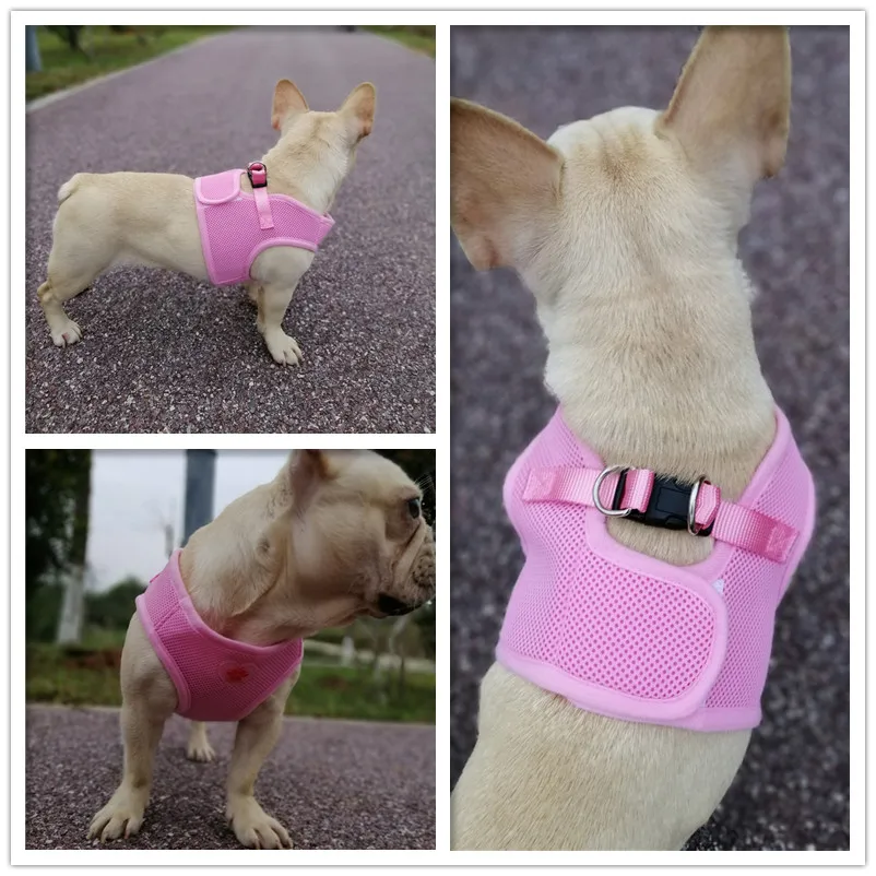 dog harness (1)