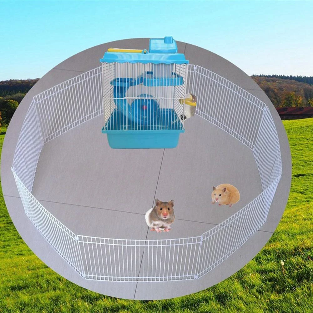 Hamster Tubes Free