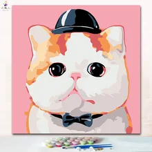 The cut cat с крышкой Набор для рисования по номерам с цветами Раскрашивание цифр картины по номерам на холсте для детской практики