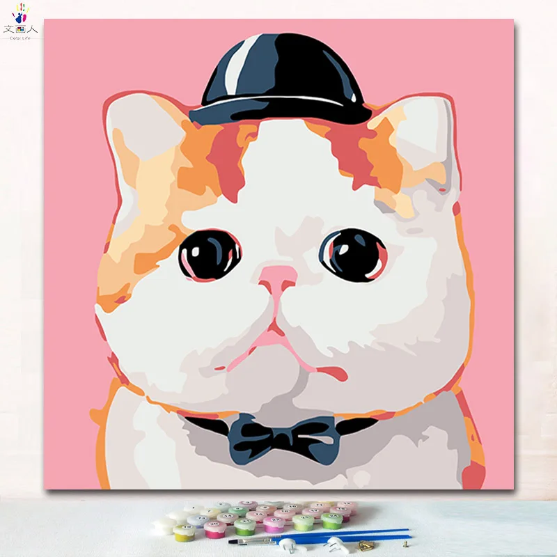 

The cut cat with cap paint picture by numbers with colors coloring numbers pictures by numbers on canvas for children practise