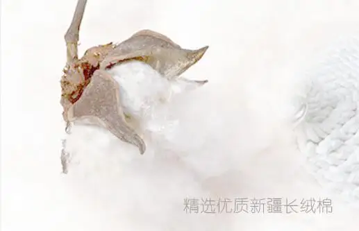 QQ20190411101434