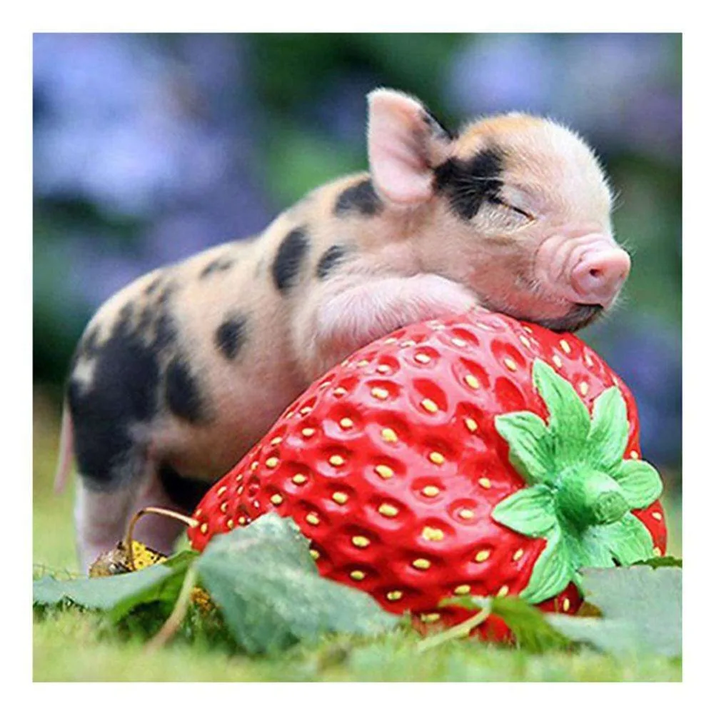 

LZAIQIZG Needlework Diamond Embroidery Strawberry Pig Hot Sale 5D Diamond Painting mosaic Picture Handmade Rhinestone Home Decor
