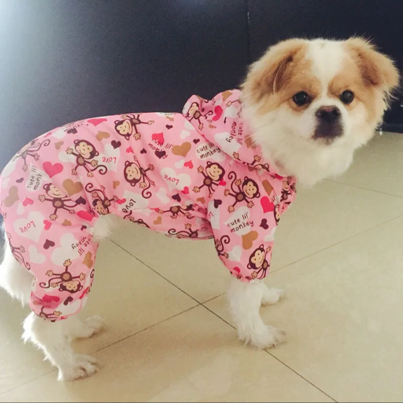 Cute Pictures Of Dogs And Cats