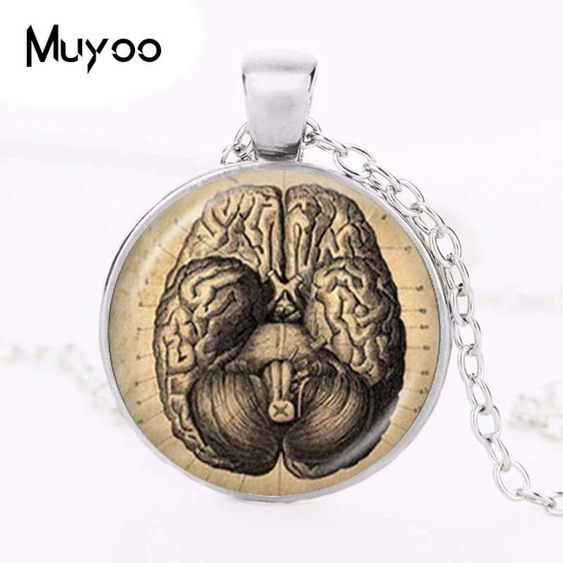 

Brain Necklace Anatomy Pendant Anatomical Brain Photo Jewelry Glass Cabochon Neuroscience Psychiatry Apparel Accessories HZ1