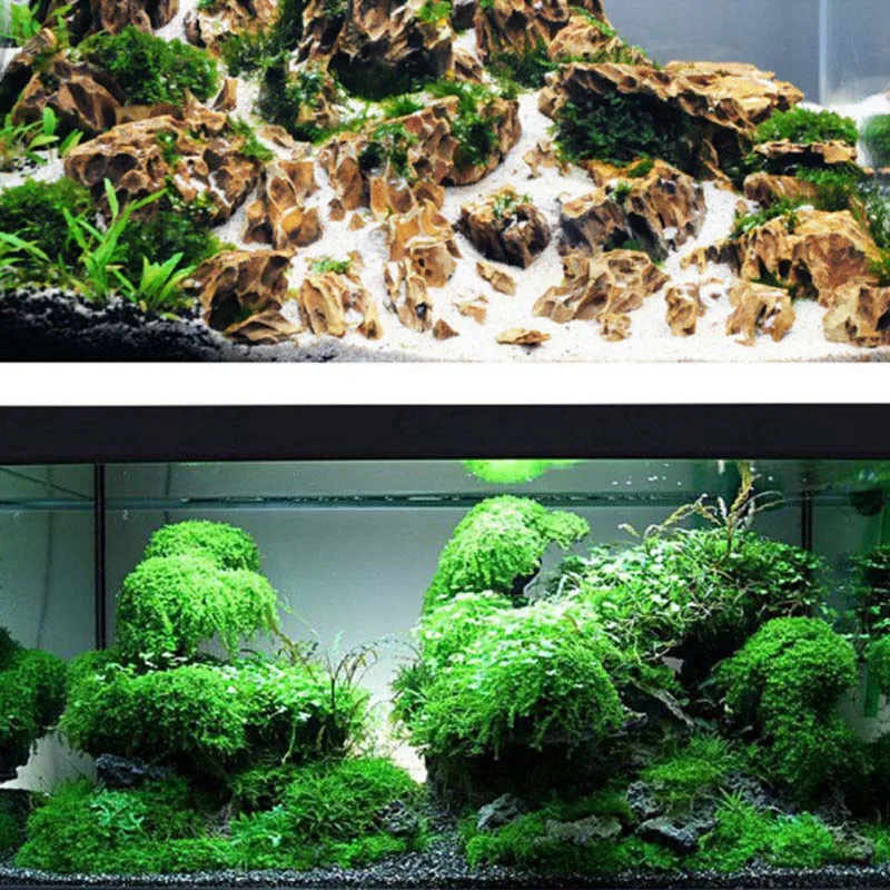 Water plant glue MOSS glue cyanoacrylate adhesive special formula for