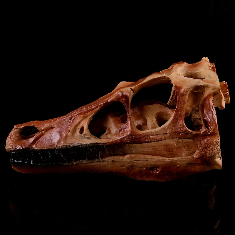 Оформление интерьера, желтый дракон череп динозавра образца смолы черепа KLGT021