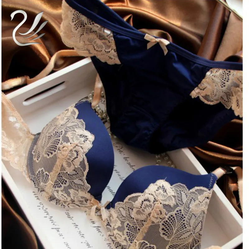 

Intimates Bra and Panty Set Lace Lingerie Push Up Bra Fashion Style Wholesale Brassiere,sexy Bra Set Hot Blue Pink Purple