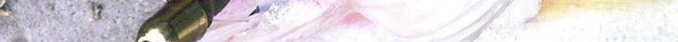 ENG_56