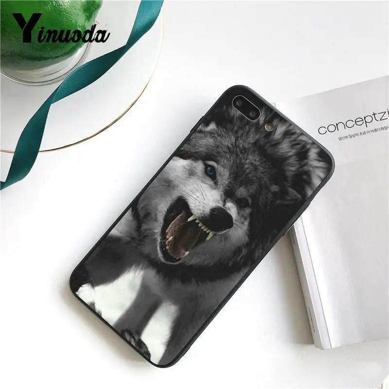 Cool Wolf (7)