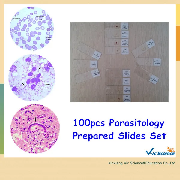 

Good Quality 100pcs Parasitology Prepared Slides Set