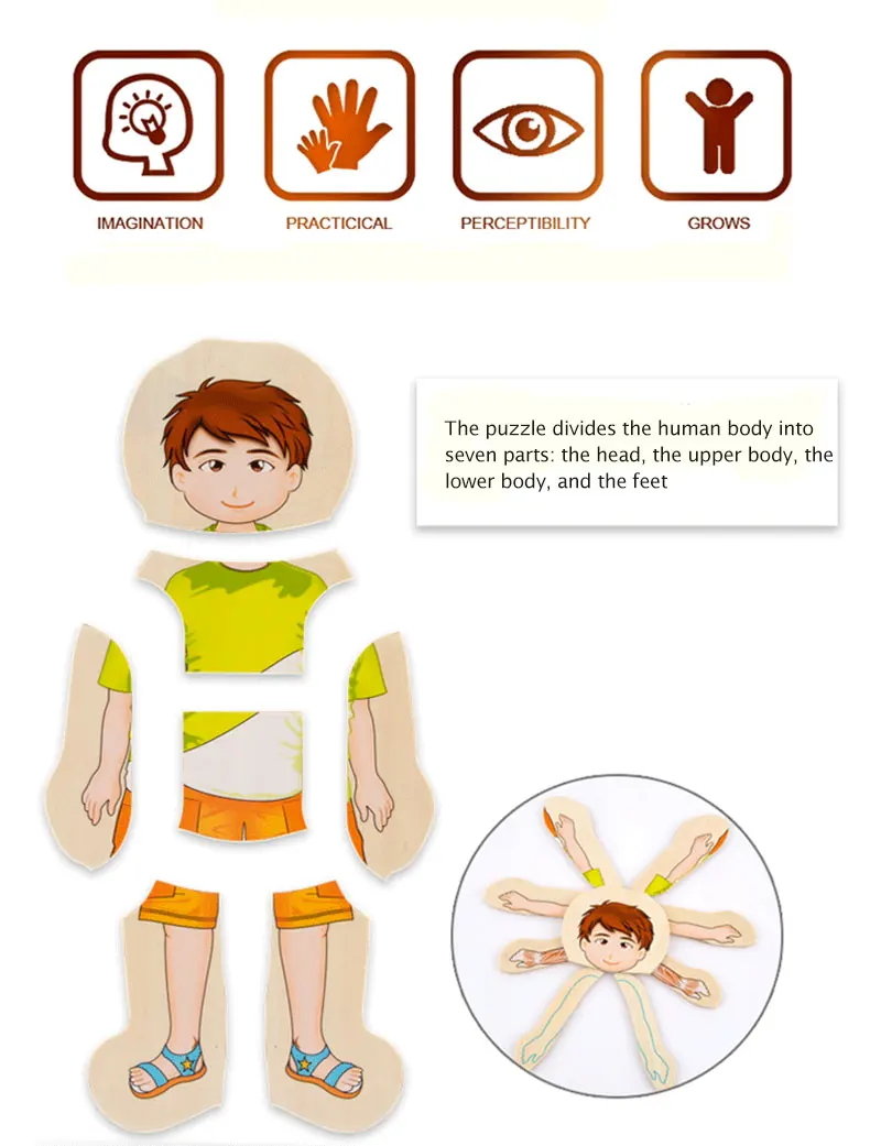 Quebra-cabeça de Madeira Estrutura do Corpo Montessori Brinquedos Crianças Cedo Educacional Aprendizagem Corpo Humano Puzzles Meninos Meninas 7 de madeira brinquedos corpo humano puzzles meninos meninas estrutura do corpo