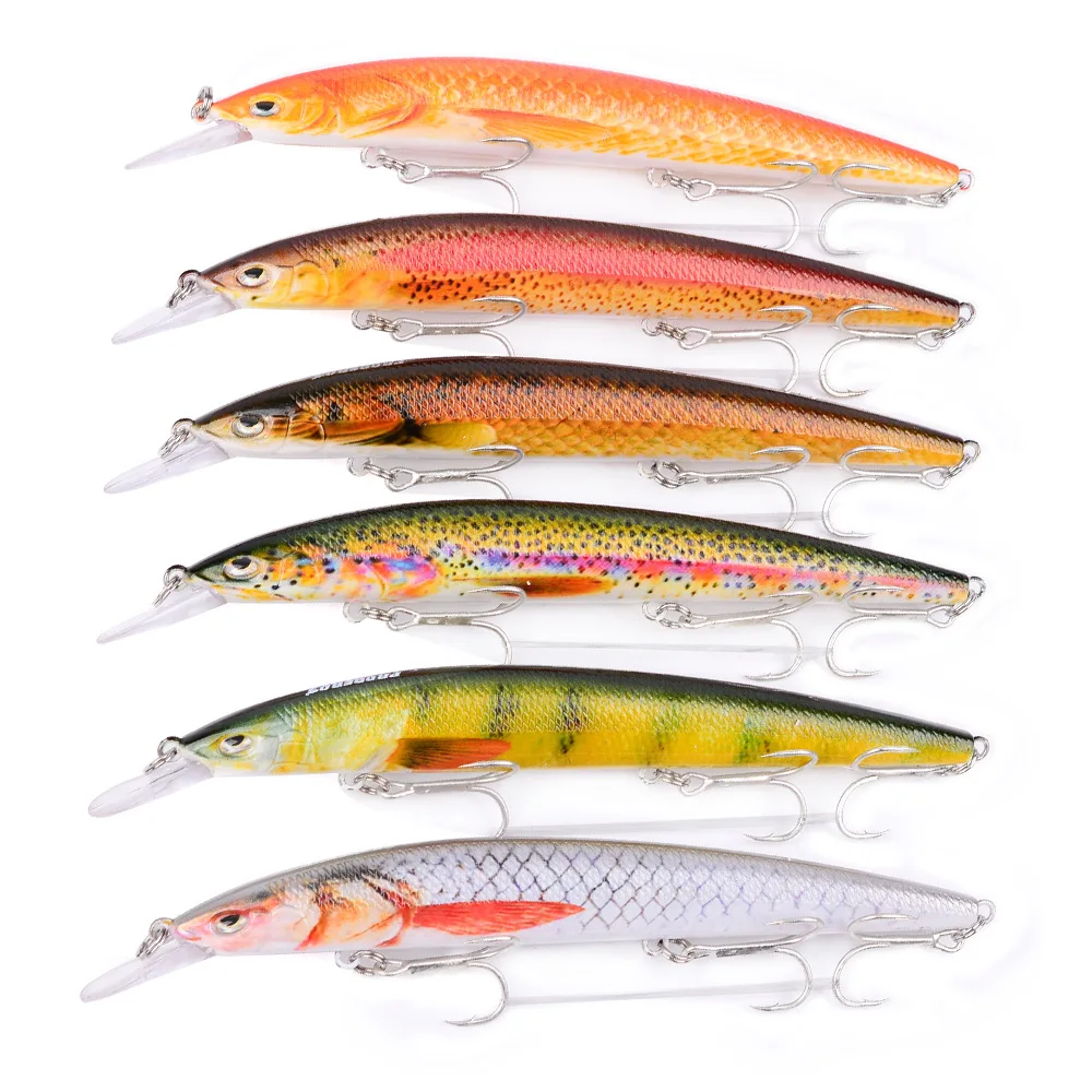 DW436 (5).jpg