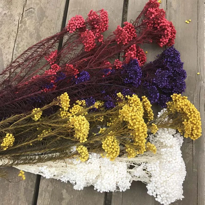 20 г натуральный сушеный свежий консервированный просо цветок, вечный сухой цветок ramillete Флорес, навсегда цветок DIY материал, Свадебный декор