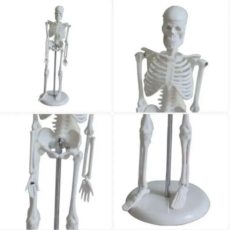 36020190507115535182