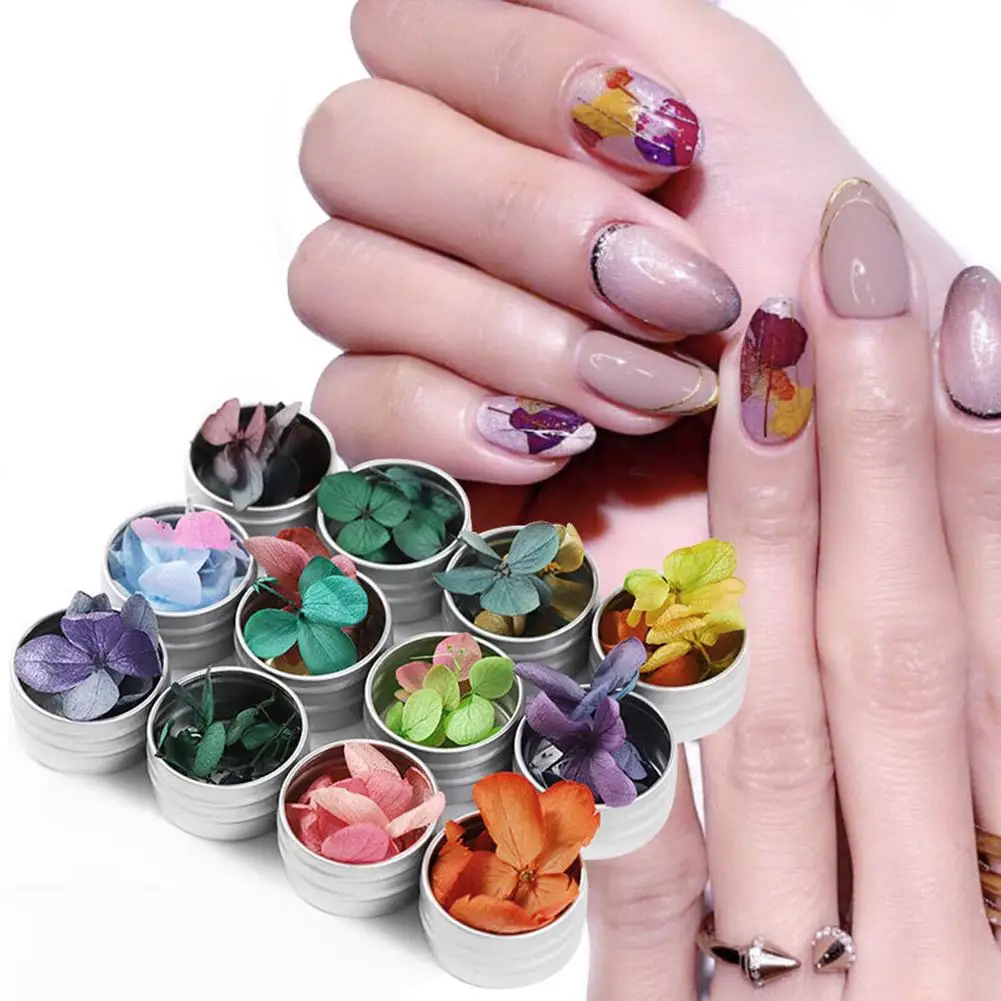 

5Pcs/Set Natural Dried Flower UV Acrylic Gel Nail Art Decoration Manicure Tools New