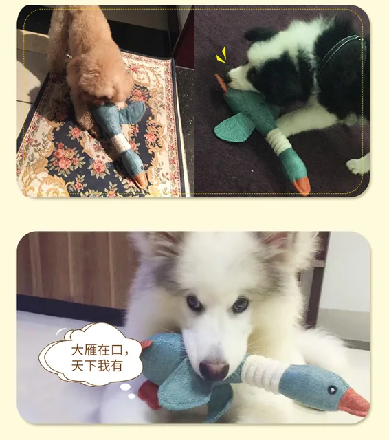 Best Price 1pc 32cm Funny Plush Sound Squeak Toy Cute Wild Goose Shape Pet Dog Cat Biting Chew Bite Squeaking Animals Funny Pet Toy Best Price 1pc 32cm Funny Plush Sound Squeak Toy Cute Wild Goose Shape Pet Dog Cat Biting Chew Bite Squeaking Animals Funny Pet Toy