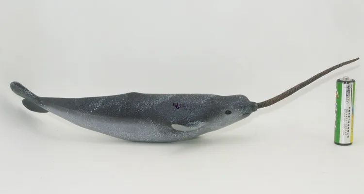 PL127-4572