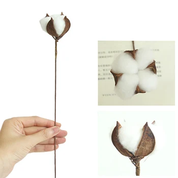 

5PCS Natural Dried Cotton Flower Heads Dried Pressed Flowers DIY Crafts Wedding Party Decoration DIY Gifts Decoration