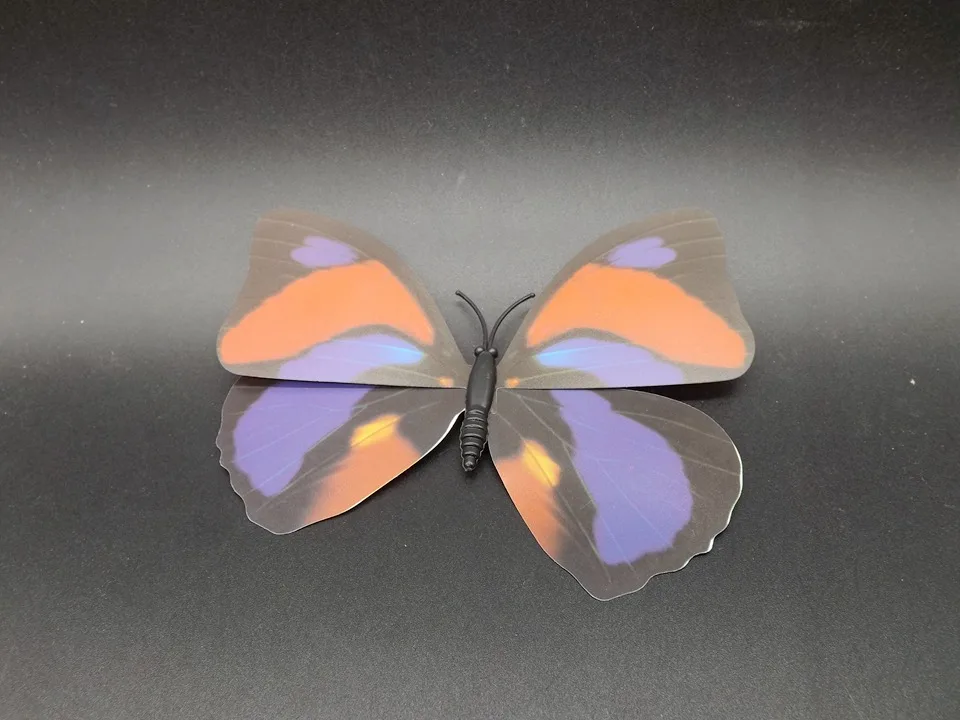 I240-Butterfly (5)