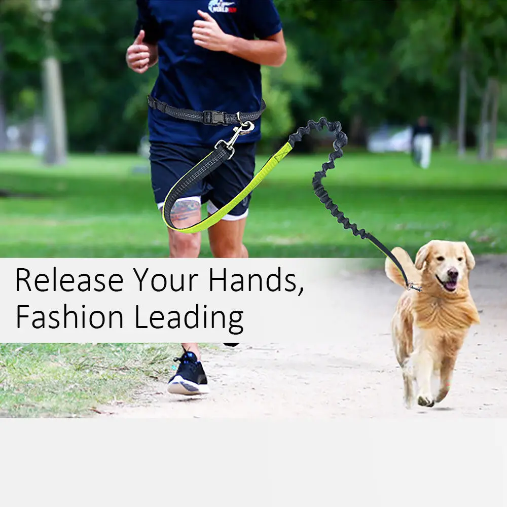 Buy Elastic Waist Pet Dog Running Leashes Retractable