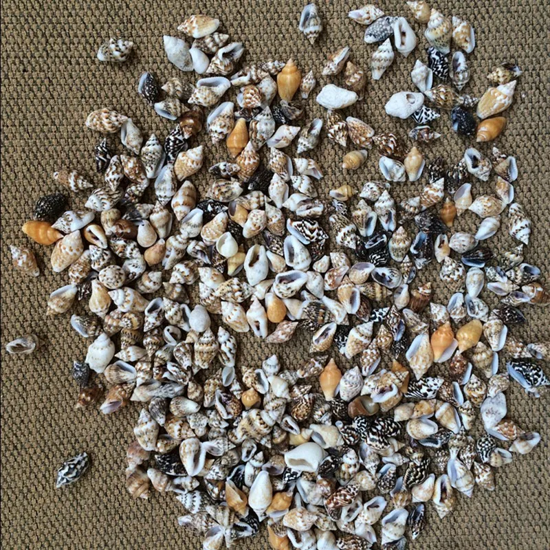 50 шт./лот 0,9-1,3 см Малый разное Conch дом toysdecoration Материал Природные ремесла Seashell аквариума пейзаж - изображение