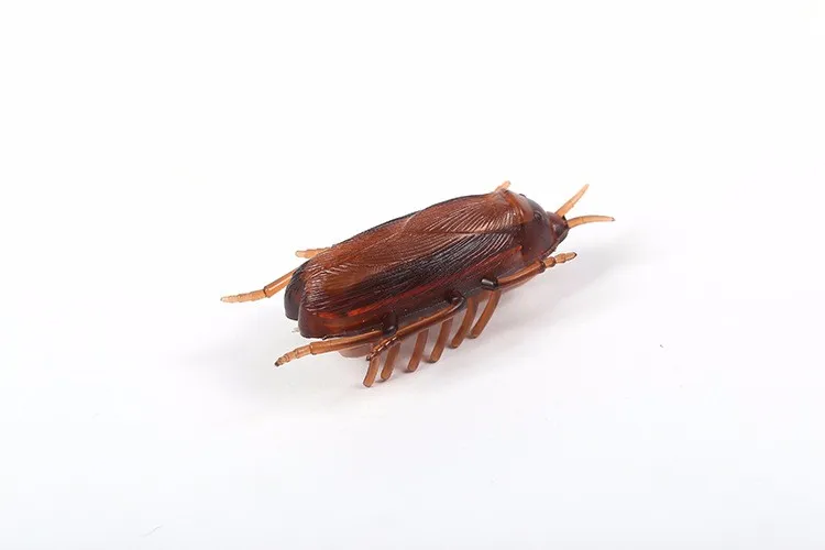 [MPK Store] Battery-Powered Cockroach & Mouse Toy For Cats, Electronic Cockroach, Fun Cat Toy
