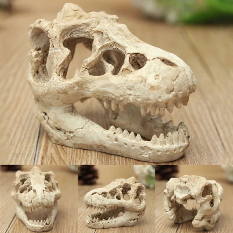 Смола череп динозавра для аквариумных питомцев аквариум пейзаж головка моделирования кости Террариум рептилия украшения орнамент скрытый пещера