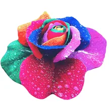 Buy Sunshine Yoga And Get Free Shipping On Aliexpress