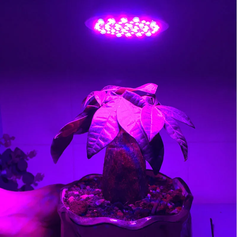 Полный спектр 18 светодиодный 28 светодиодный E27 светильник для выращивания Красный Синий УФ ИК светодиодный светильник для выращивания растений и овощей