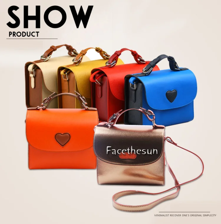 Fuji Polaroid Camera Bag 1